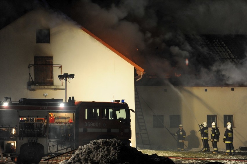 13 zastępów straży pożarnej gasi pożar stadniny koni w...