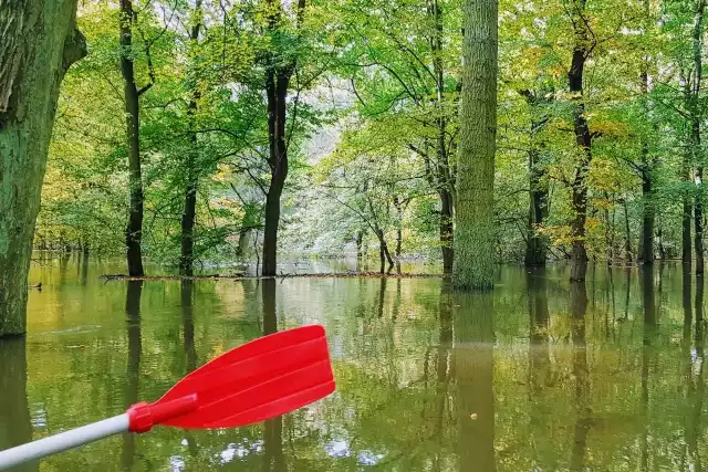 Piękno i potęga przyrody nas zachwyciły. Płynęliśmy "po lustrze", w którym odbijały się kolory jesieni rozświetlone słońcem nad naszymi głowami - opisuje Daniel Kołtun.