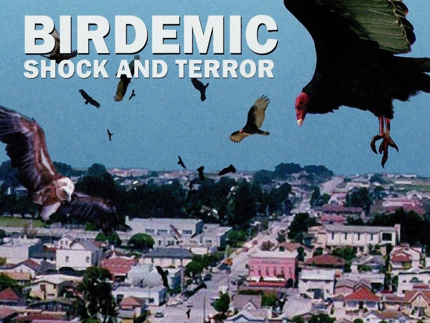 7. Ptakodemia (2010)...