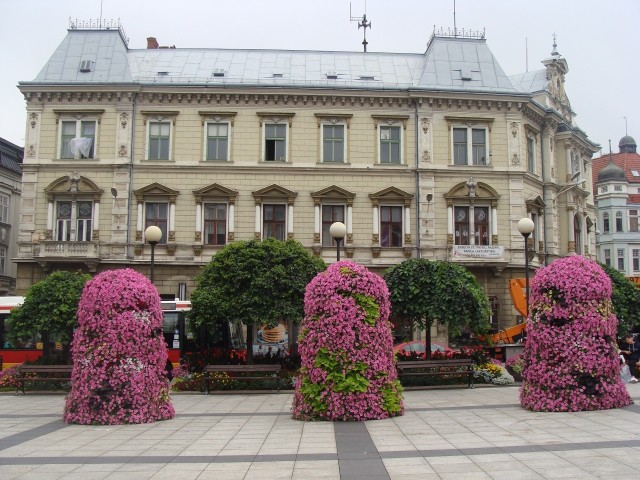 Wieże kwiatowe na Placu Bolesława Chrobrego w Bielsku-Białej.