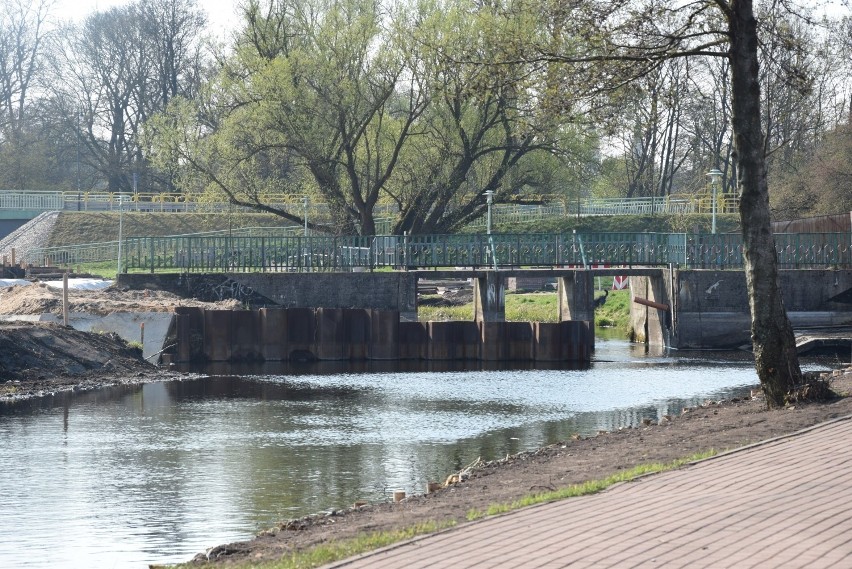 Suwałki. Nad Czarną Hańczą dzieje się tak wiele, że rzekę trudno poznać [ZDJĘCIA]