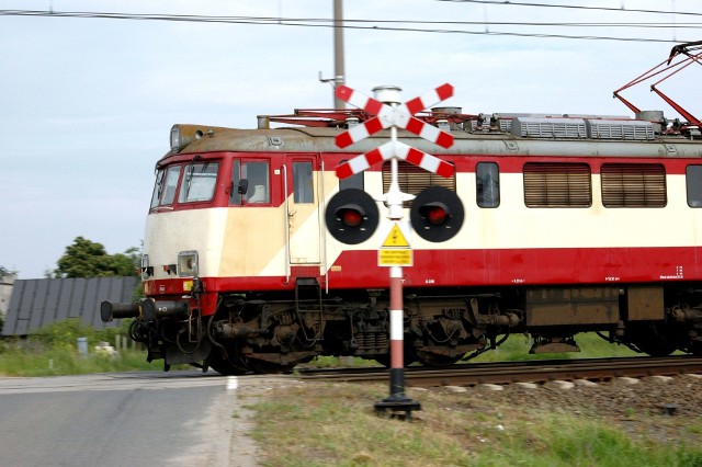 Utrudnienia na linii Tłuszcz - Ostrołęka. Drzewo uszkodziło sieć trakcyjną. Komunikacja zastępcza do Ostrołęki