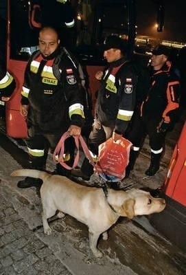 W niedzielę w nocy na Okęciu wylądowało 54 ratowników z 10 psami z Ciężkiej Grupy Poszukiwawczo-Ratowniczej Państwowej Straży Pożarnej Fot. PAP/Tomasz Gzell