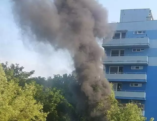 W niedzielę (11 czerwca) we Wrocławiu na Psim Polu doszło do pożaru. Gęste kłęby dymu unosiły się ponad dziesięciopiętrowe bloki.