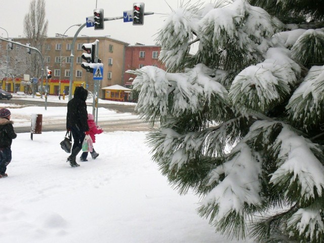 Zima w centrum Stalowej Woli.