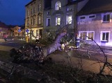 Ogromne drzewo runęło na ulicę Żeromskiego w Darłowie [ZDJĘCIA]