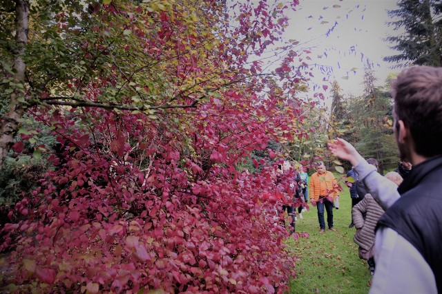 Jesień to doskonały czas na spacer po lusławickim parku i arboretum. Miejsce to przyciąga coraz więcej osób. W sobotniej inauguracji wzięło udział ok. stu  zwiedzających