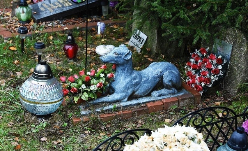 Tak ich kochali. Oto najładniejsze pomniki psów i kotów na cmentarzach dla zwierząt