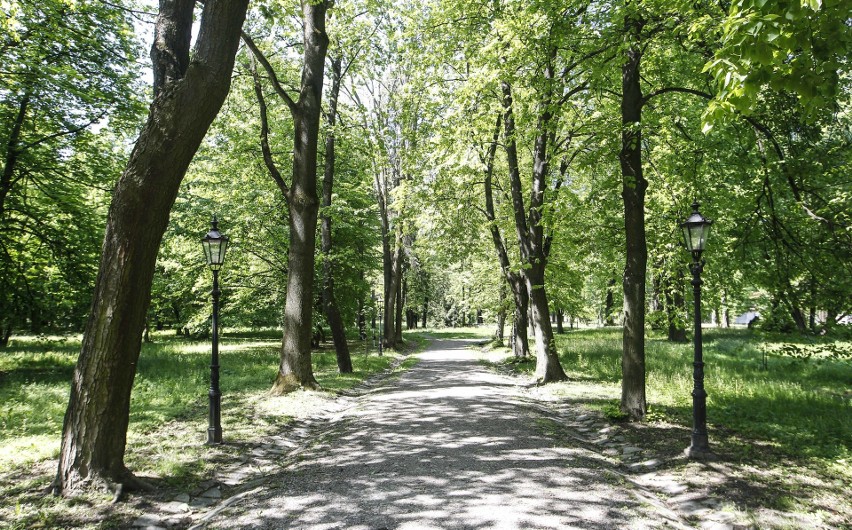 Tyczyn stanie się częścią Rzeszowa? O to stara się część...