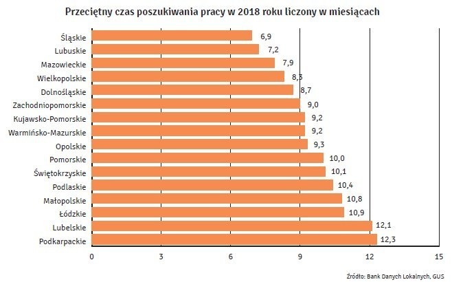 Ranking Miast dla Młodych. Jak wypadł Szczecin?