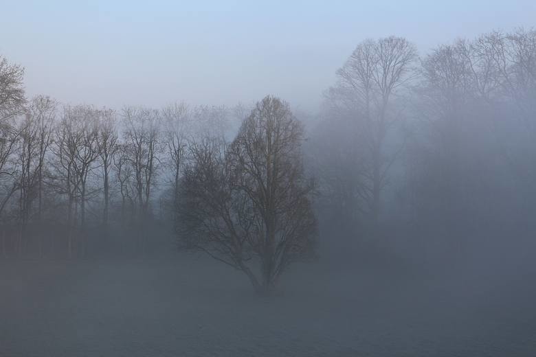 IMGW wydało komunikat meteorologiczny o silnej mgle (3.03)