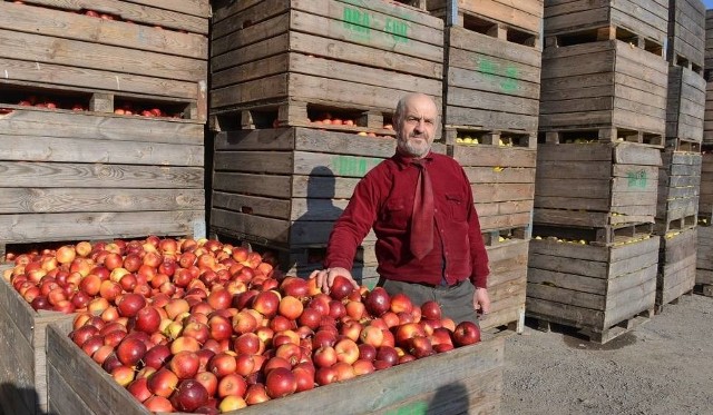 Mirosław Drab, właściciel firmy DRA-FOR w Głazowie w gminie Obrazów  w ramach programu stabilizacji cen jabłek przyjął sześć tysięcy ton owoców. Dziś czeka na zapłatę 550  tysięcy złotych.