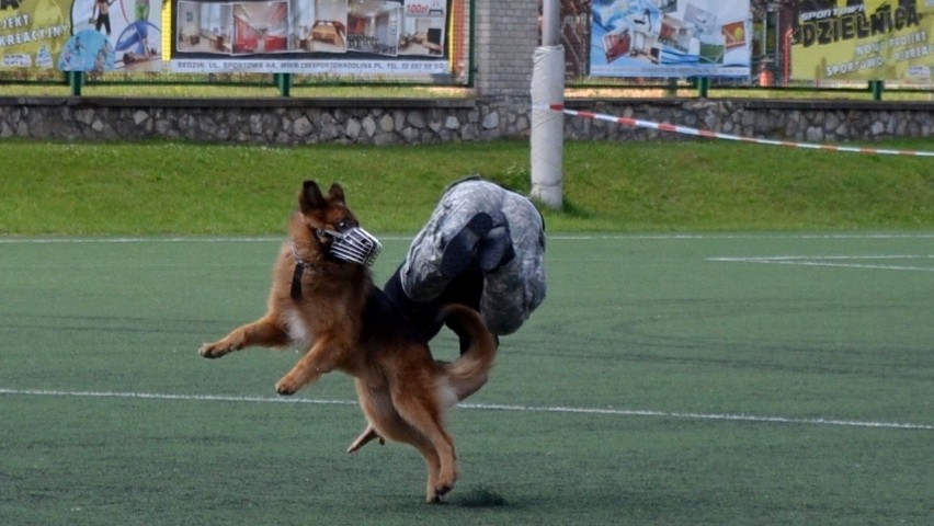 Święto Policji Będzin 2014