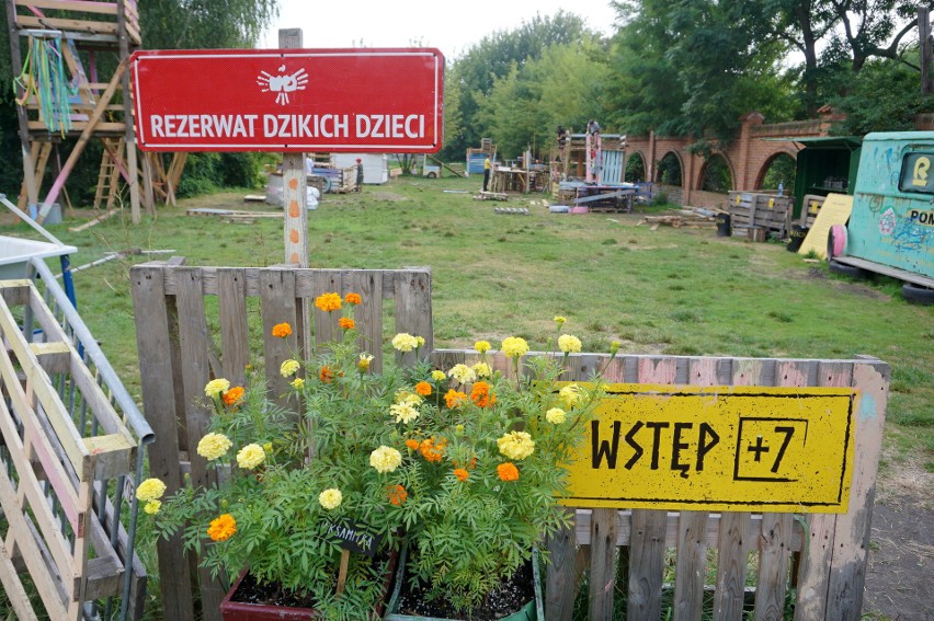 W czasie wakacji dzieci się nie nudzą. Zobacz młodych konstruktorów w Rezerwacie Dzikich Dzieci