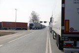 Kilkaset wyłudzonych z urzędu pracy w Gorzowie oświadczeń pozwalało nielegalnie przekraczać polską granicę 