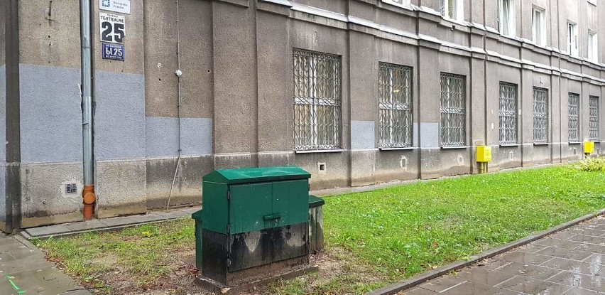 Kolejny ogród deszczowy powstał w Krakowie. Pomoże dbać o rośliny w trakcie suszy [ZDJĘCIA]