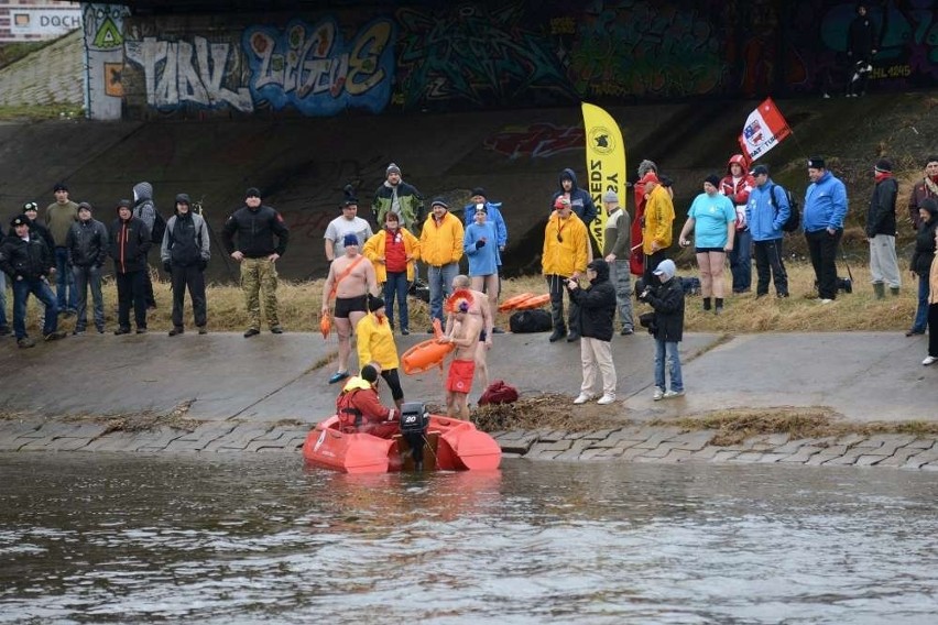 Morsy w Poznaniu: Deszcz i wiatr nie przeszkodziły w kąpieli