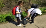 Sprzątania Świata w gminie Opatowiec. Tak uczcili Międzynarodowy Dzień Ziemi. Zebrali ponad dwie tony śmieci. Zobaczcie zdjęcia