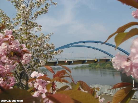 Mieszkańcy obu miast chcą, żeby most na Odrze łączył, a nie dzielił (fot. Beata Bielecka)