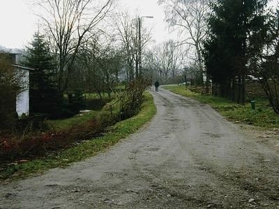 Jest szansa, że w Miechowie w końcu powstanie ścieżka rowerowa Fot. Magdalena Uchto