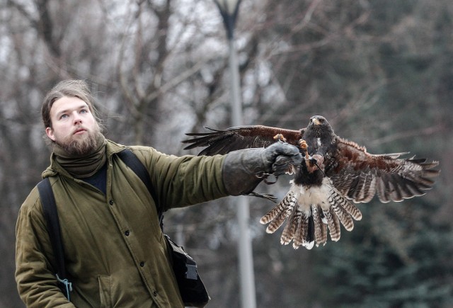 Sokolnicy rozpoczęli pracę w parkach w Rzeszowie.