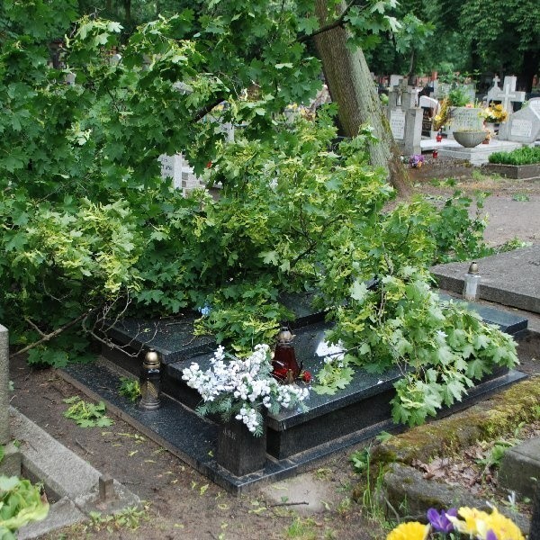 Pzysypany galeziami grób Jerzego Sulimy-Kaminskiego