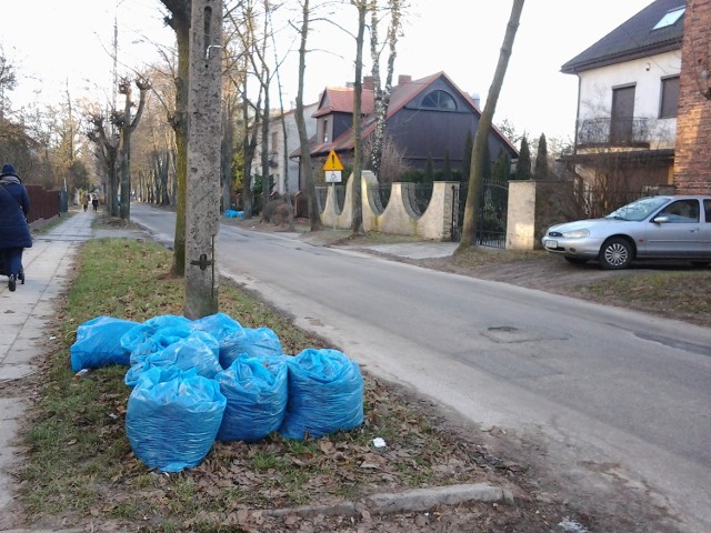 Przy ulicy Słonecznej w Kielcach worki z liśćmi leżą już od dwóch miesięcy.