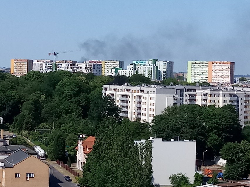 Dym nad południową częścią Szczecina. Paliły się odpady