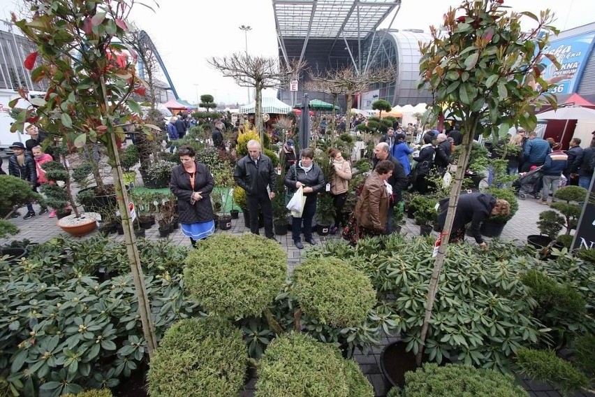 Targi Dom, Ogród i Ty przez trzy dni w Kielcach. Start już w piątek