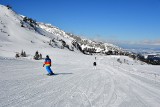 Tatry. Trasa narciarska w Dolinie Goryczkowej zamknięta. Bo błąka się tam niedźwiadek 