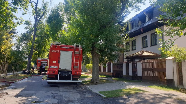 W sobotę wcześnie rano wybuchł pożar w jednym z domków przy ulicy Zelwerowicza na osiedlu Radiostacja