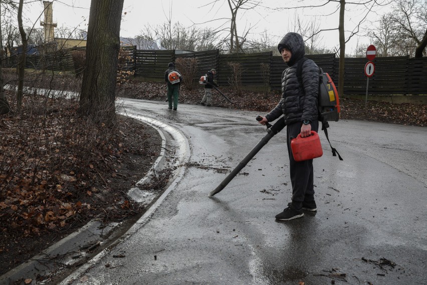 Wichura w Krakowie. Uszkodzone domy i powalone drzewa [ZDJĘCIA]                       