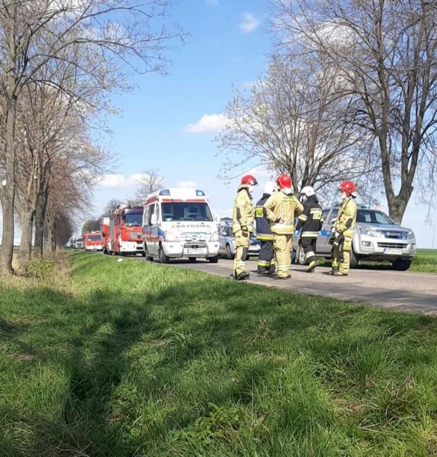 W wyniku potrącenia przez samochód śmierć poniósł...