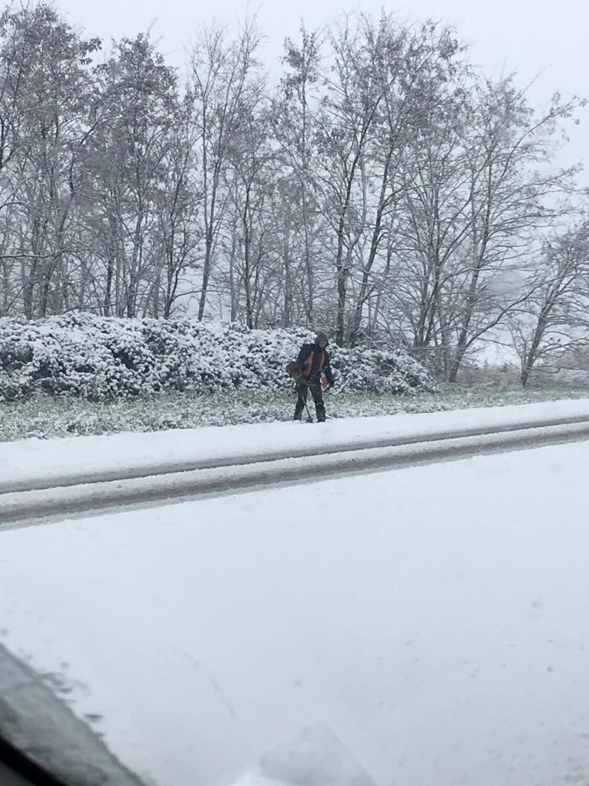 Zdjęcia z koszenia trawy w śniegu obiegają cały kraj....