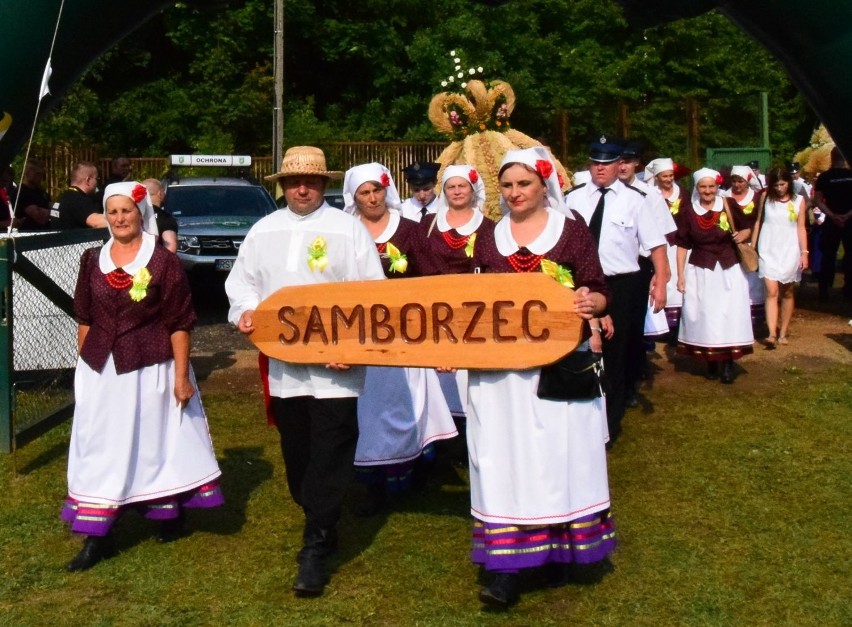 Dożynki powiatu sandomierskiego w Dwikozach. Podziękowali za plony (ZDJĘCIA)