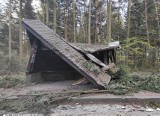 Podczas wycinki drzew pod budowę ścieżki rowerowej Kielce - Zagnańsk zniszczono przystanek. Będzie odbudowany [ZDJĘCIA]
