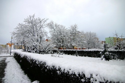 Zdjecia Slupska przysypanego śniegiem. (Fot. Kamil Nagórek)