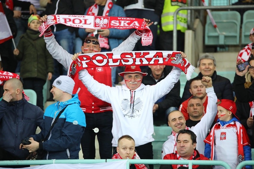 Kibice na meczu Austria - Polska 0:1