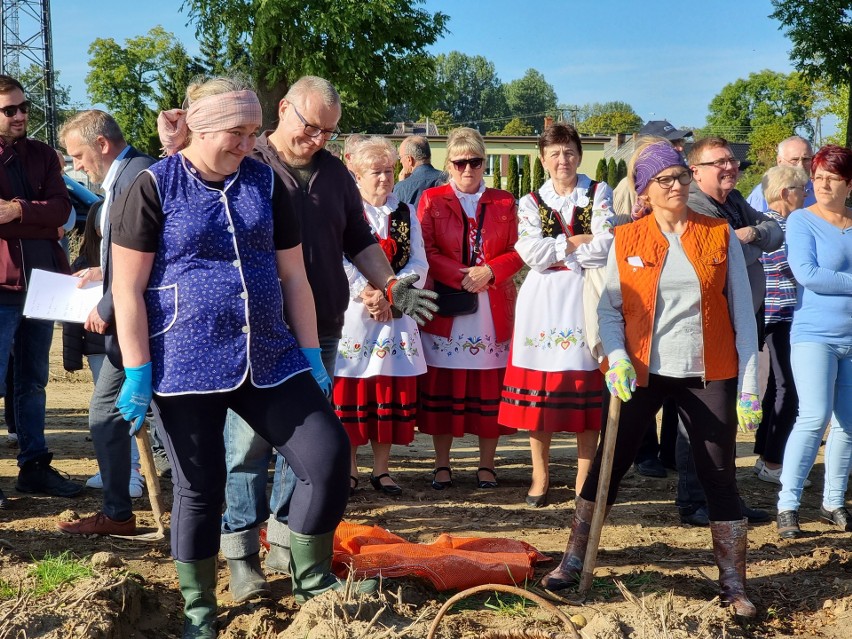 Dzień Ziemniaka 2021 i wykopki w Celbowie. Byli goście z Norwegii, nie zabrakło zdrowej rywalizacji, dobrej zabawi i bùlew