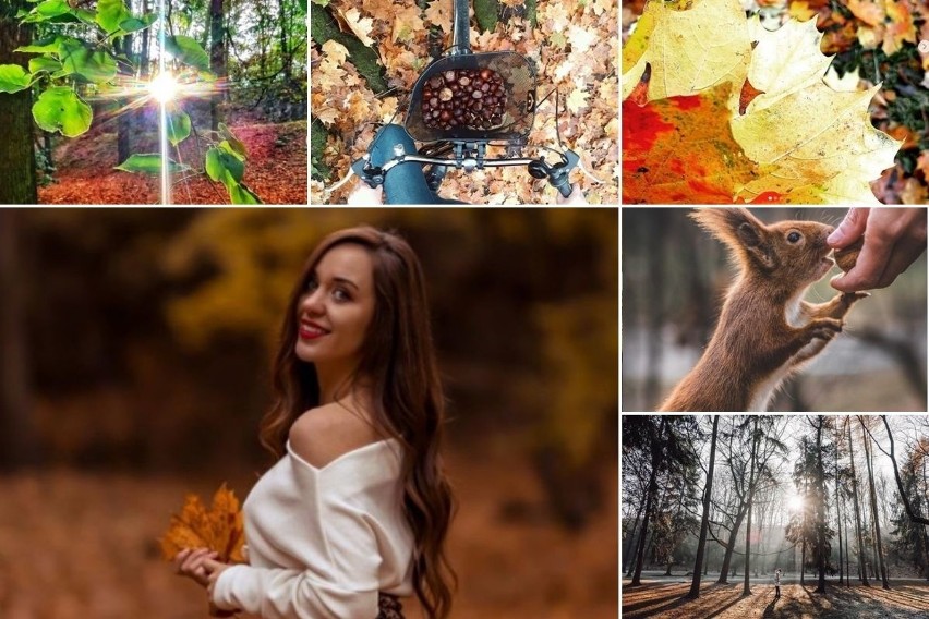 Ulubiony krakowski park instagramerów w jesiennej szacie. Park Bednarskiego na waszych zdjęciach