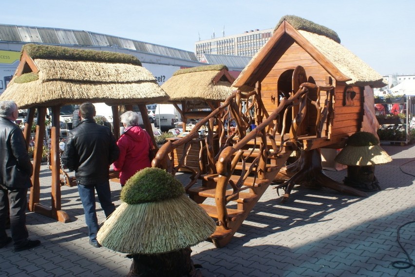 W Expo Silesia trwa kiermasz ogrodniczy, na którym kupicie...