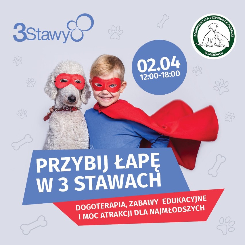 Przybij łapę w 3 Stawach – nauka poprzez zabawę...