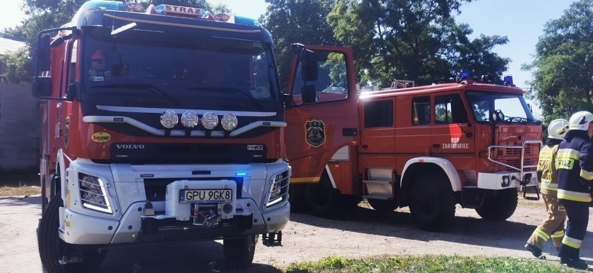 W Sulicicach spłonęły hektary zboża. Ogromny pożar pola ZDJĘCIA