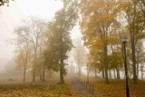 Mgła w Białymstoku i województwie podlaskim. Tak wyglądał wtorkowy poranek w mieście. Zobacz zdjęcia