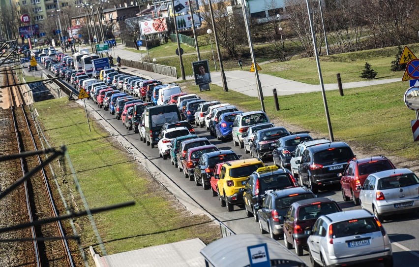 Badanie dotyczące popularności w internecie zostało...