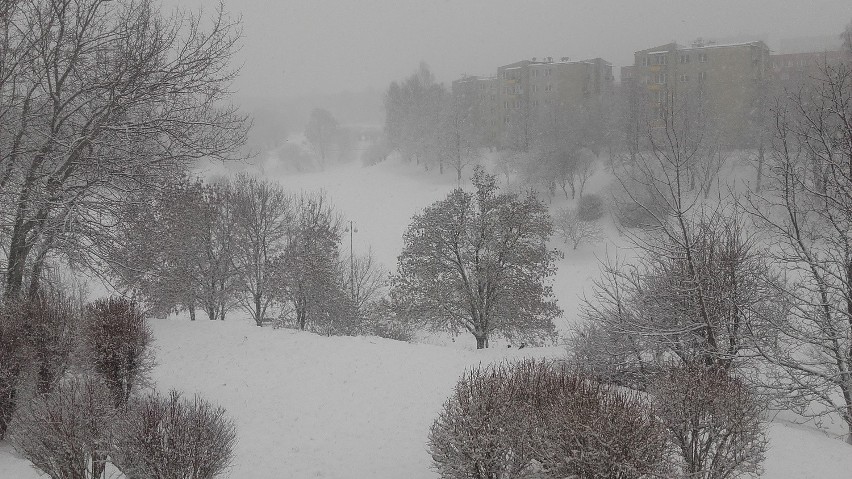 Zima w Lublinie. Padający śnieg spowalnia ruch