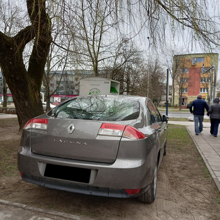 Na trawniku pomiędzy blokami na ulicy Nowy Świat 7, a...