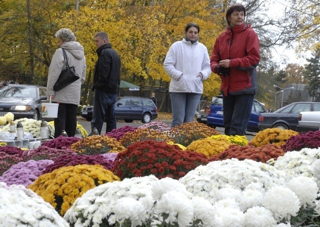 Przy Starym Cmentarzu w Słupsku można kupić kwiaty.
