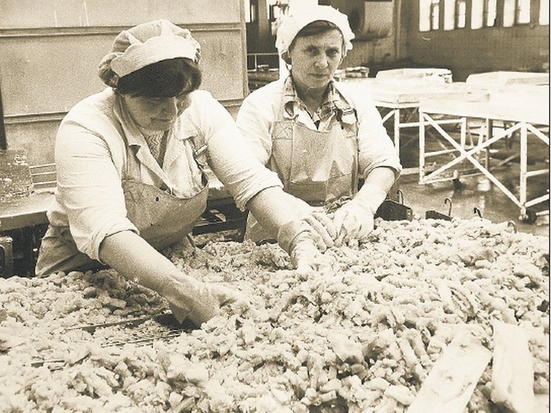 Rok 1967. Przygotowanie surowca rybnego do produkcji...