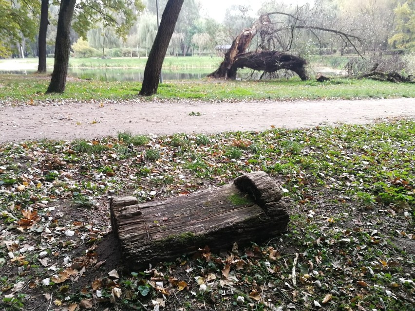 Na zdjęciu - Park Miejski na Bydgoskim Przedmieściu